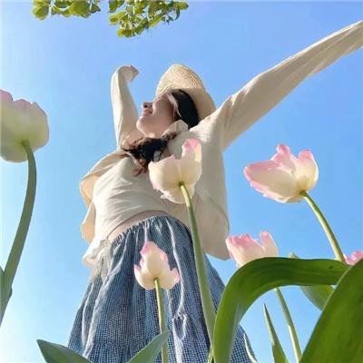 让叶兰在空中飞舞